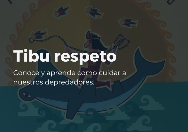 Tibu Respeto Coalición Tiburón Perú