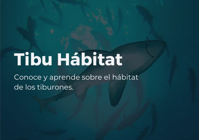 Tibu Hábitat Coalición Tiburón Perú