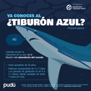 Coalición Tiburón Perú