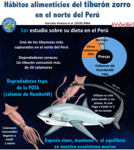Coalición Tiburón Perú
